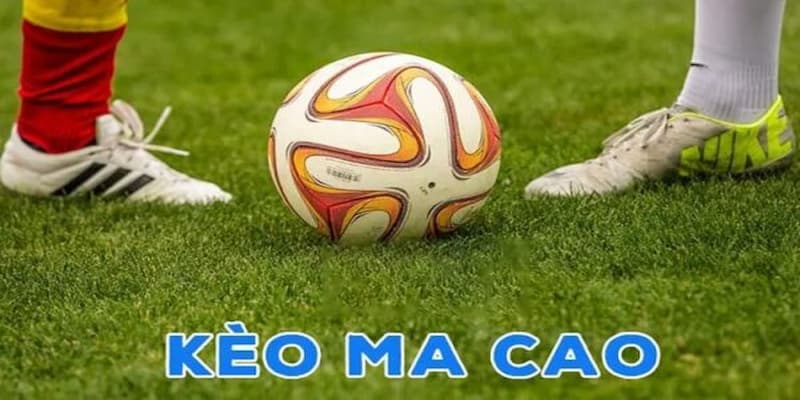 Yếu tố ảnh hưởng đến tỷ lệ cá cược Ma Cao